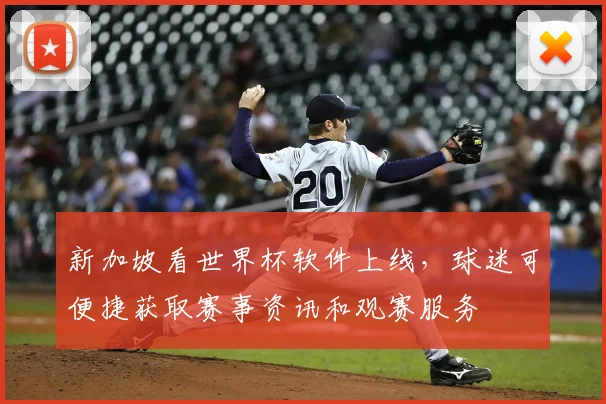 新加坡看世界杯软件上线，球迷可便捷获取赛事资讯和观赛服务