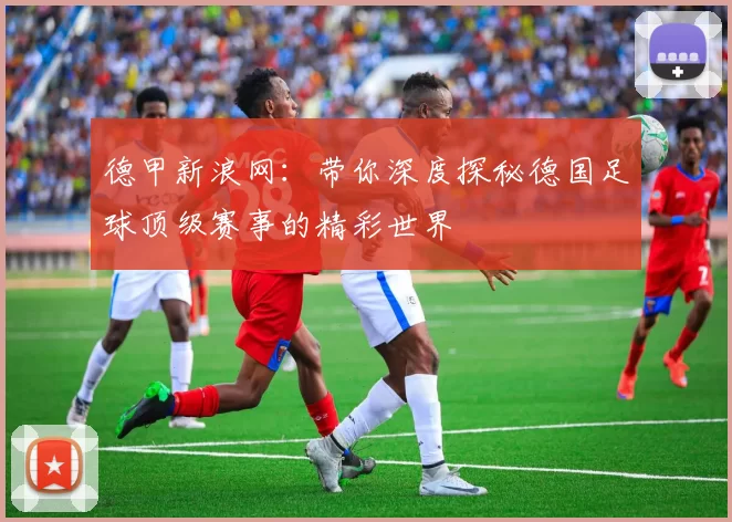 德甲新浪网：带你深度探秘德国足球顶级赛事的精彩世界