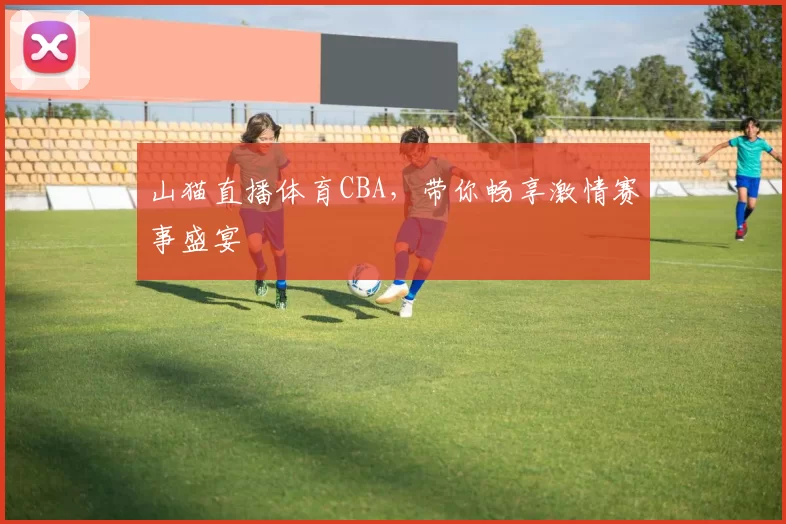 山猫直播体育CBA，带你畅享激情赛事盛宴