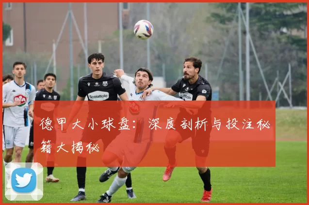 德甲大小球盘：深度剖析与投注秘籍大揭秘