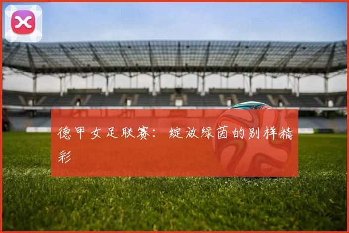 德甲女足联赛：绽放绿茵的别样精彩