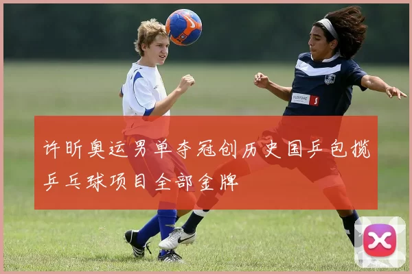 许昕奥运男单夺冠创历史国乒包揽乒乓球项目全部金牌